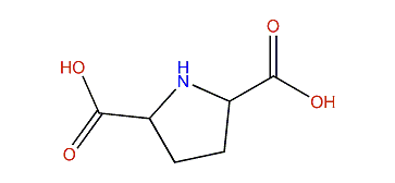Pyrrolidine-2,5-dicarboxylic acid